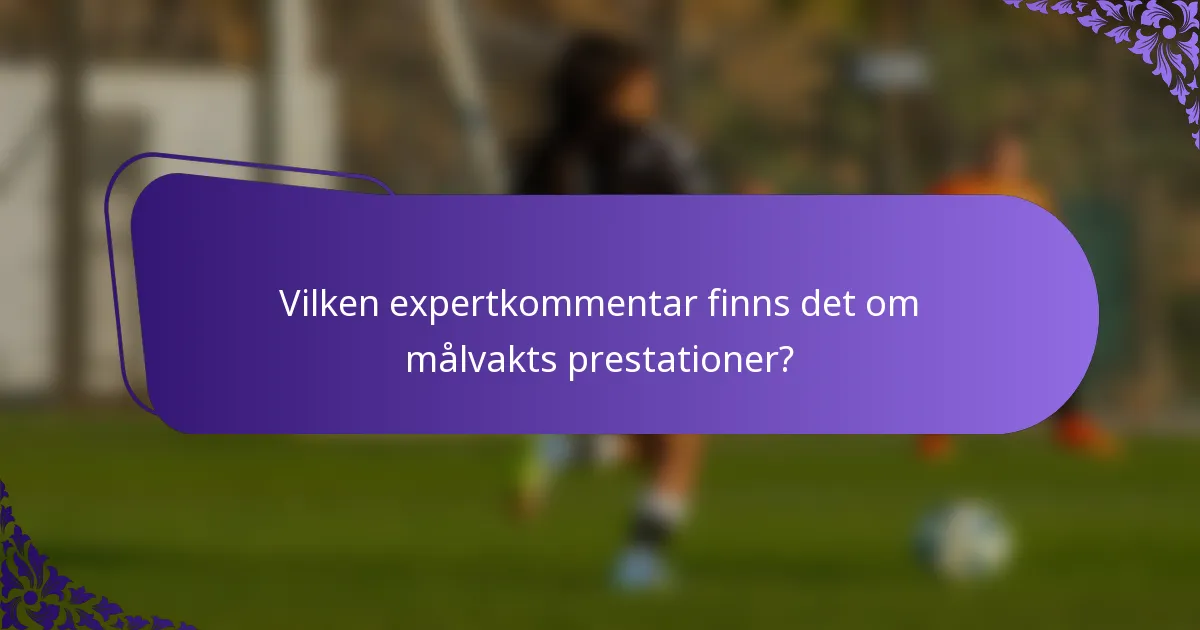 Vilken expertkommentar finns det om målvakts prestationer?